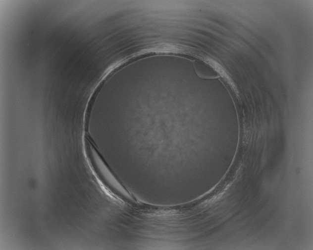 X0000069810845200606021503