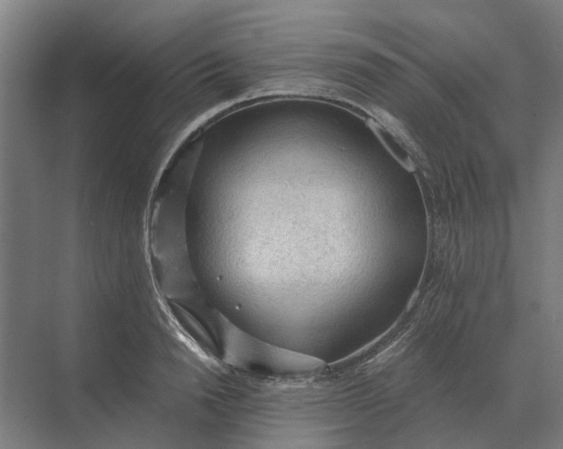 X0000069810846200606021503