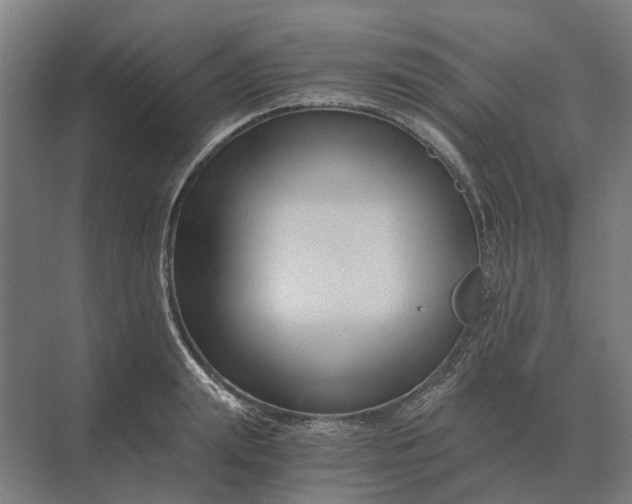 X0000069810847200606021503