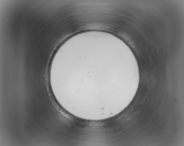 X0000069810848200606021503