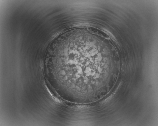 X0000069810849200606021503