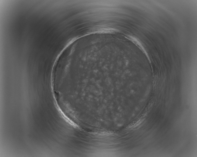 X0000069810851200606021503