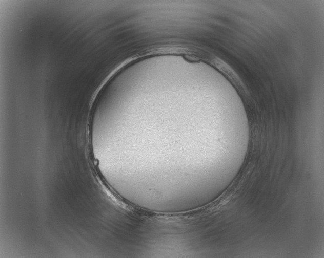 X0000069810852200606021503