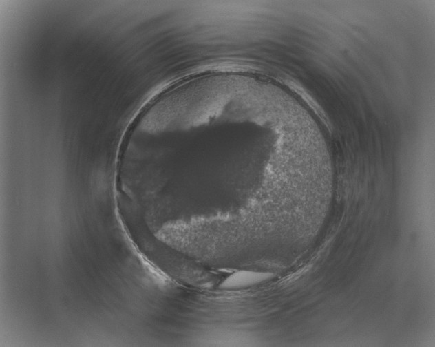 X0000069810853200606021503