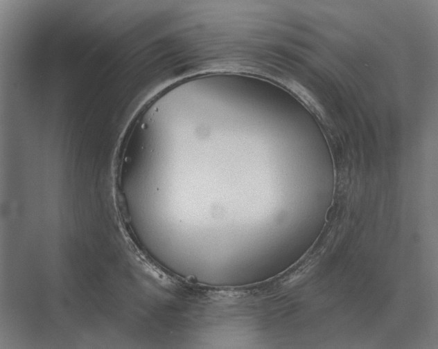 X0000069810854200606021503