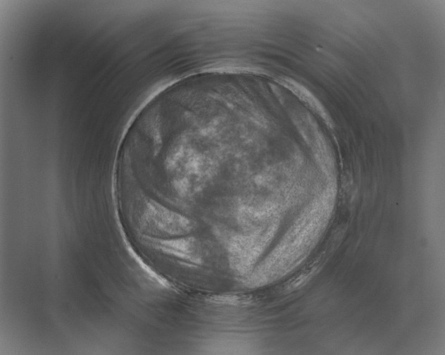 X0000069810855200606021503