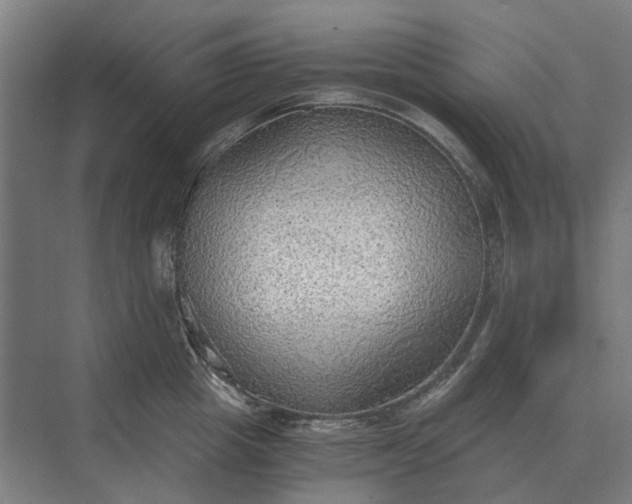 X0000069810857200606021503