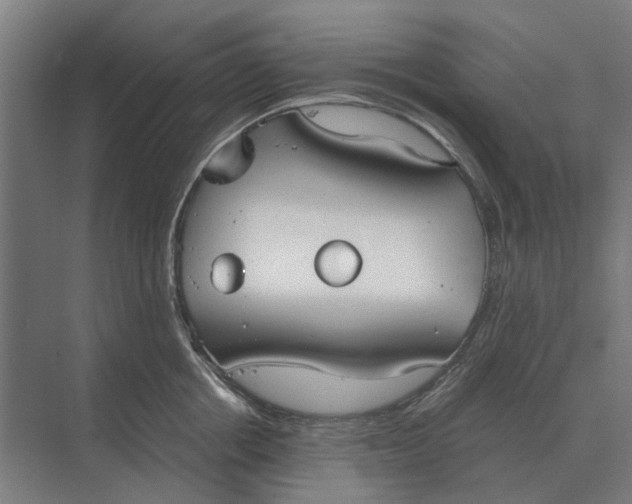 X0000069810858200606021503