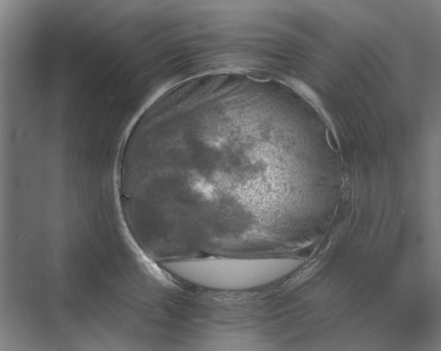 X0000069810859200606021503