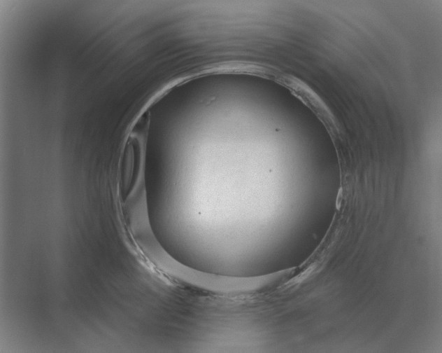 X0000069810860200606021503