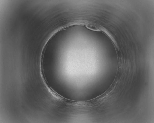 X0000069810861200606021503