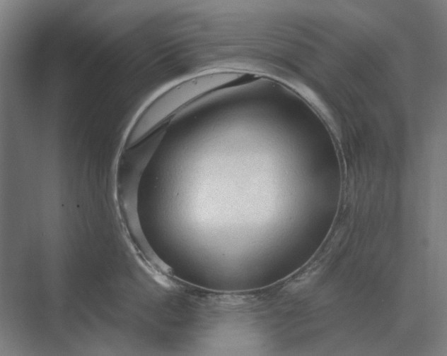 X0000069810862200606021503