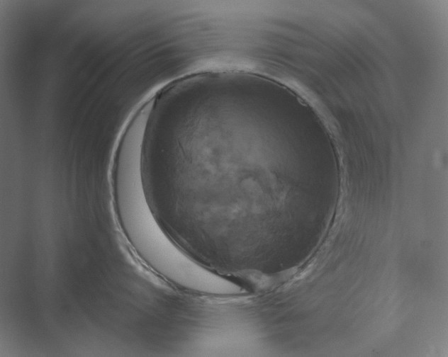 X0000069810864200606021503