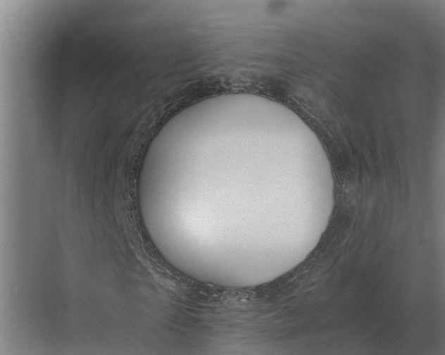 X0000069810865200606021503