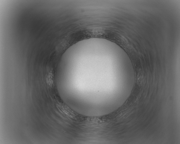 X0000069810866200606021503