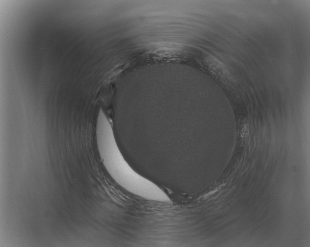 X0000069810868200606021502