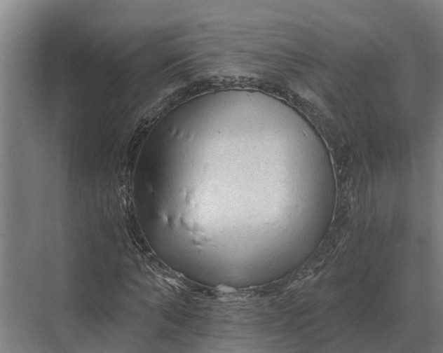 X0000069810870200606021502