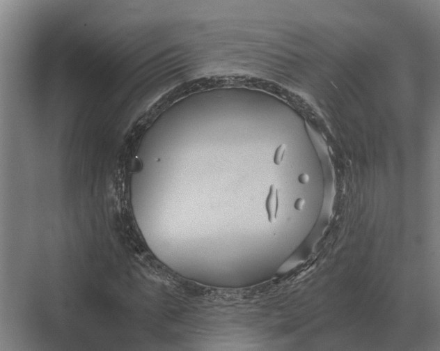 X0000069810871200606021502