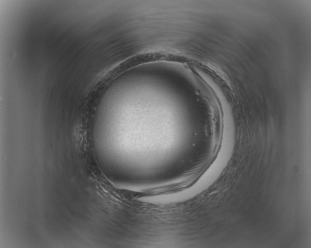 X0000069810872200606021502