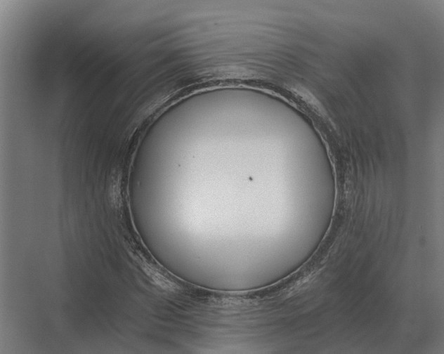 X0000069810873200606021502