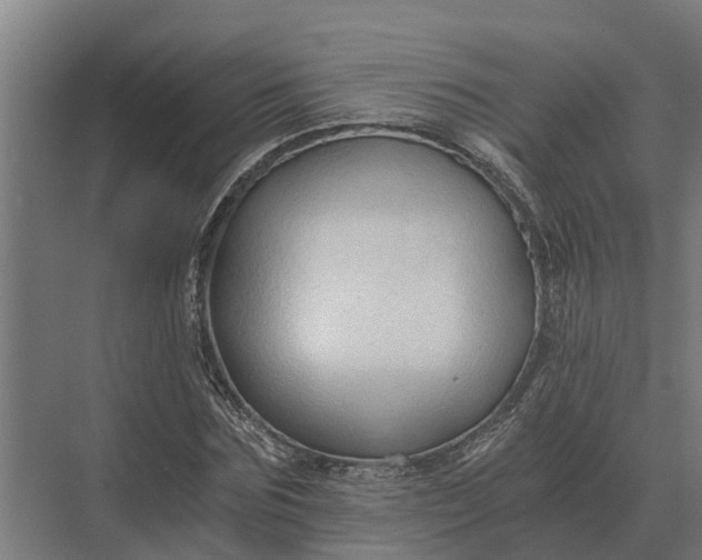 X0000069810875200606021502