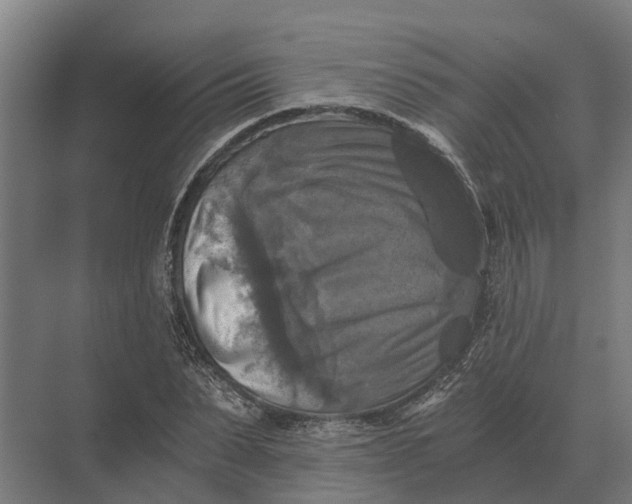 X0000069810879200606021502