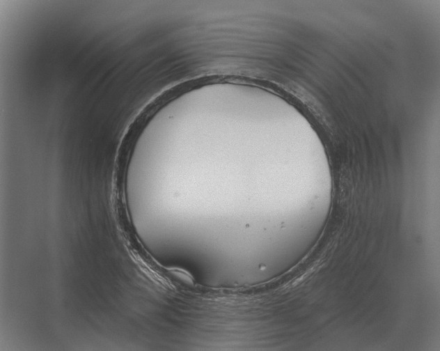 X0000069810880200606021502