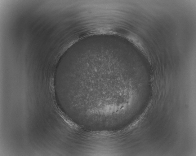 X0000069810881200606021502