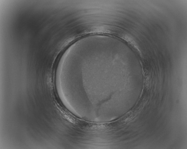 X0000069810882200606021502