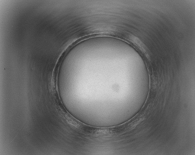 X0000069810883200606021502