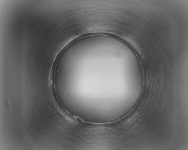 X0000069810885200606021502