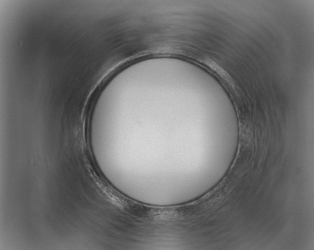 X0000069810886200606021502