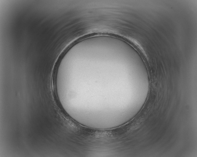 X0000069810887200606021502