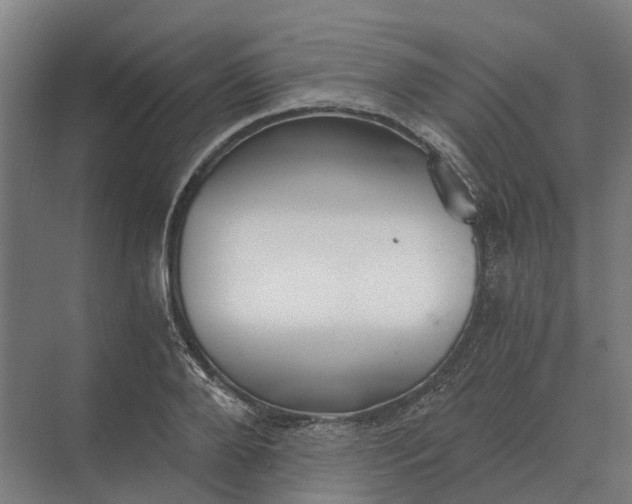 X0000069810888200606021502