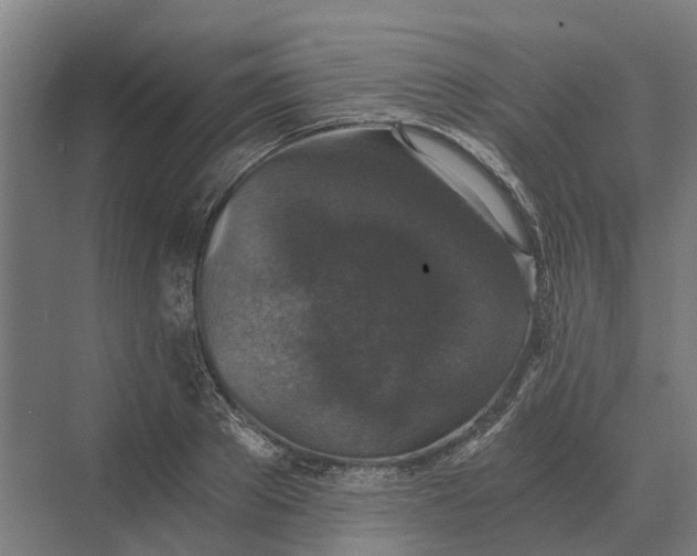 X0000069810889200606021502