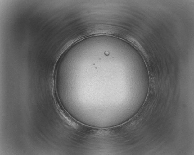 X0000069810890200606021502