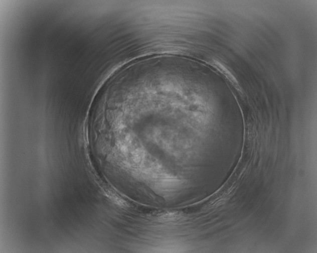 X0000069810891200606021502