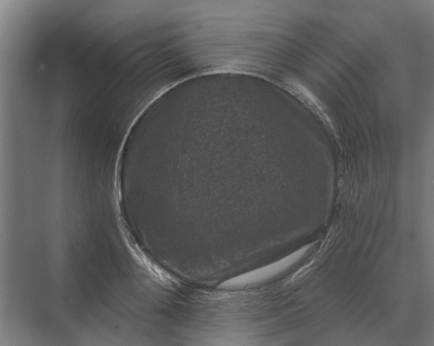 X0000069810892200606021502