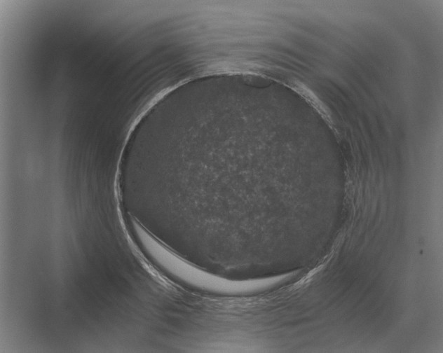 X0000069810893200606021502