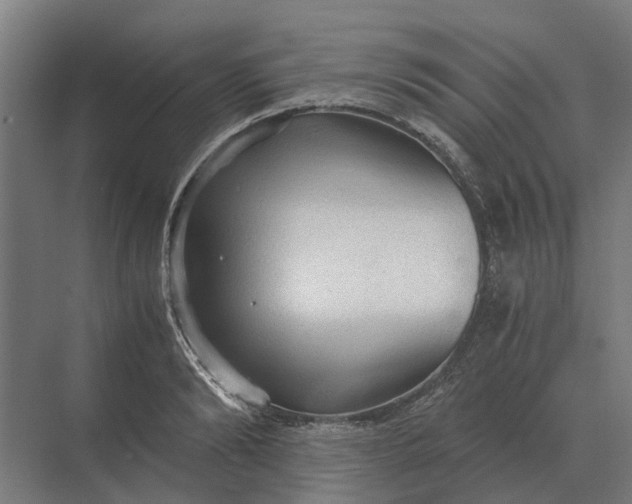 X0000069810894200606021502