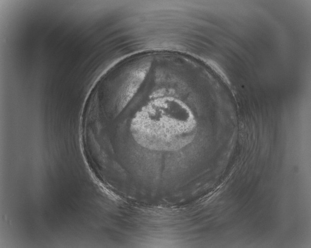 X0000069810895200606021502