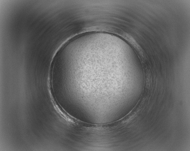 X0000069810896200606021502