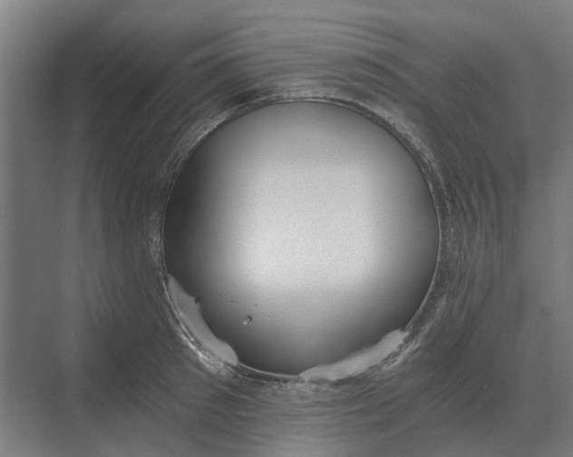 X0000069810897200606021502