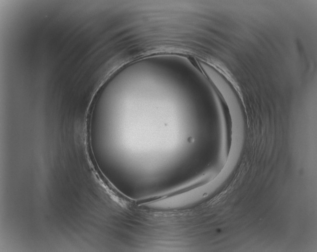 X0000069810898200606021502