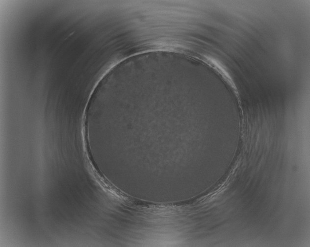 X0000069810899200606021502