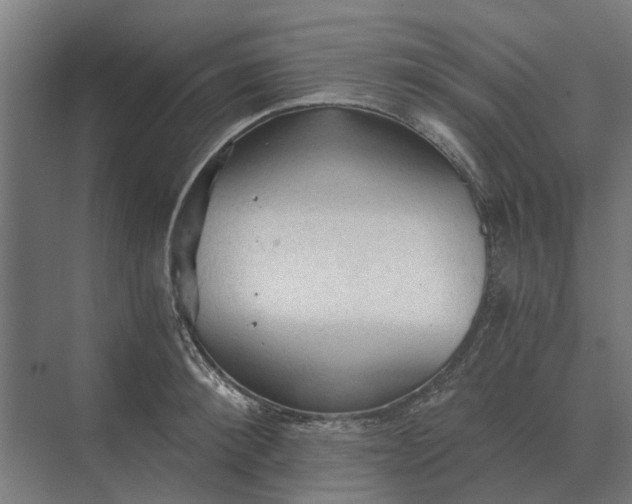 X0000069810900200606021502