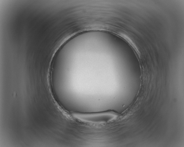 X0000069810901200606021502