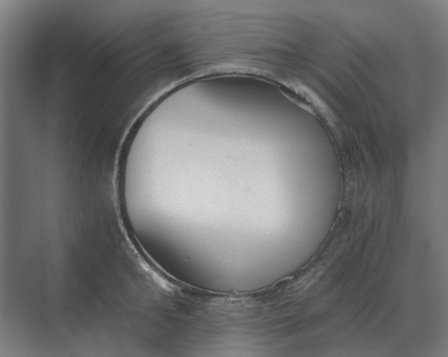 X0000069810902200606021502