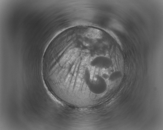 X0000069810903200606021502