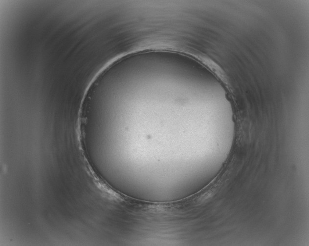 X0000069810904200606021502